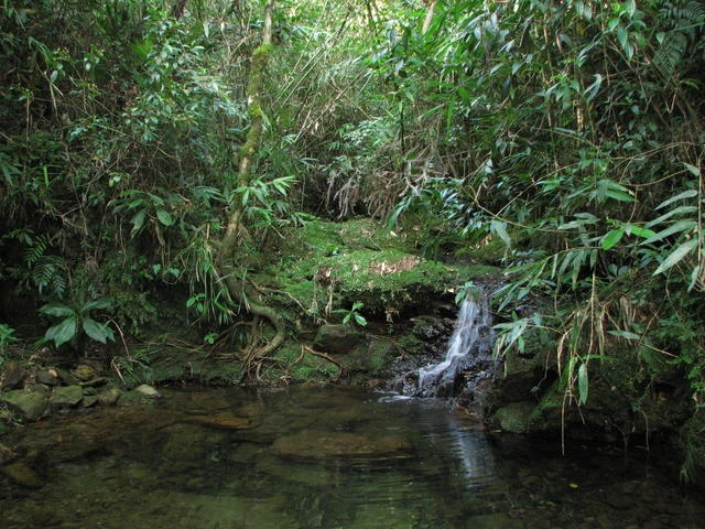 Embu-Guacu-River